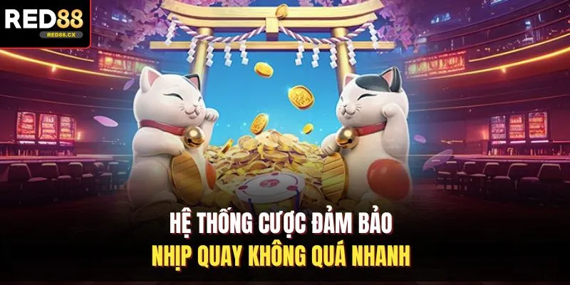 Hệ thống cược đảm bảo nhịp quay không quá nhanh