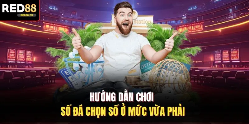 Hướng dẫn chơi số đá chọn số ở mức vừa phải