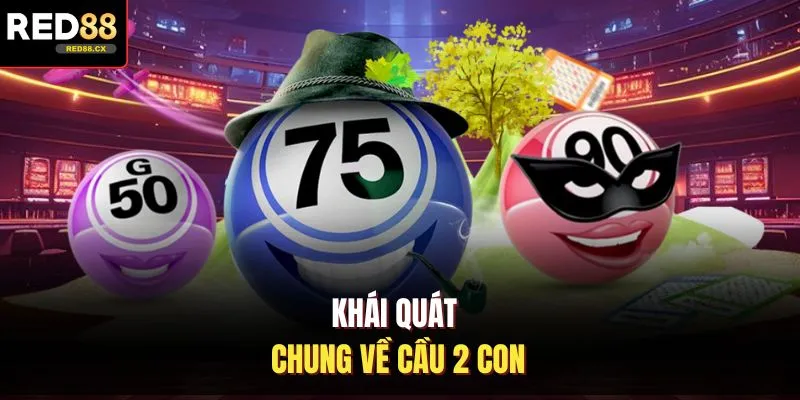 Khái quát chung về cầu 2 con