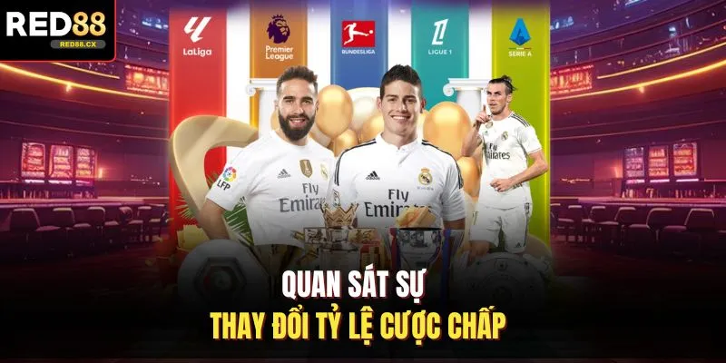 Quan sát sự thay đổi tỷ lệ cược chấp