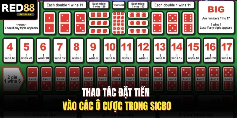 Thao tác đặt tiền vào các ô cược trong sicbo