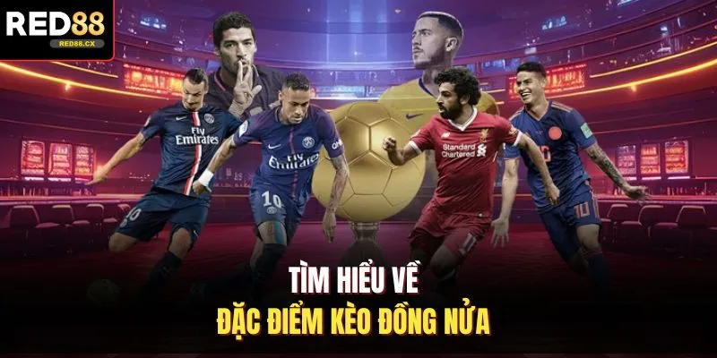 Tìm hiểu về đặc điểm kèo đồng nửa
