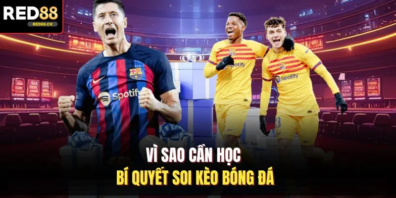 Vì sao cần học bí quyết soi kèo bóng đá